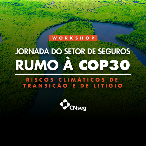 Workshop Jornada do Setor de Seguros Rumo à COP30 - Riscos Climáticos de Transição e de Litígio